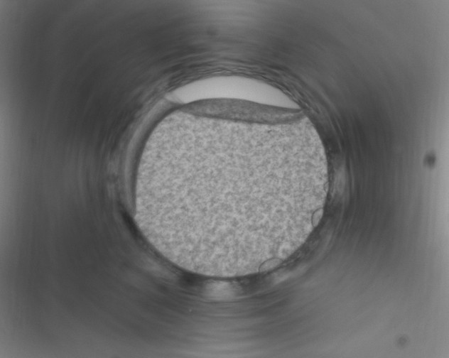 X0000116590616201001211327