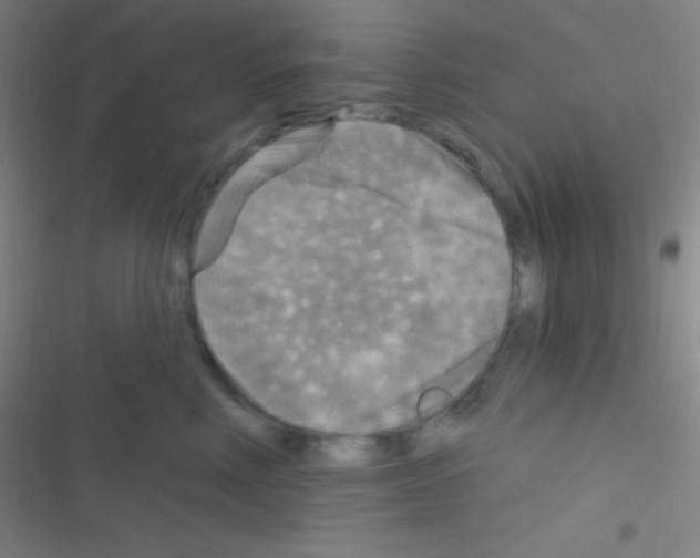 X0000116590618201001211327