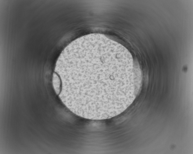 X0000116590619201001211327