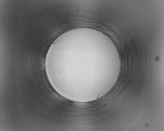 X0000116590621201001211327