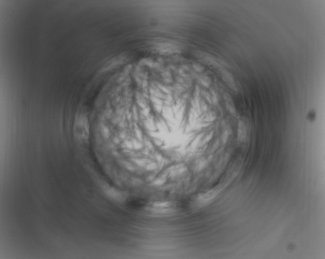 X0000116590622201001211327