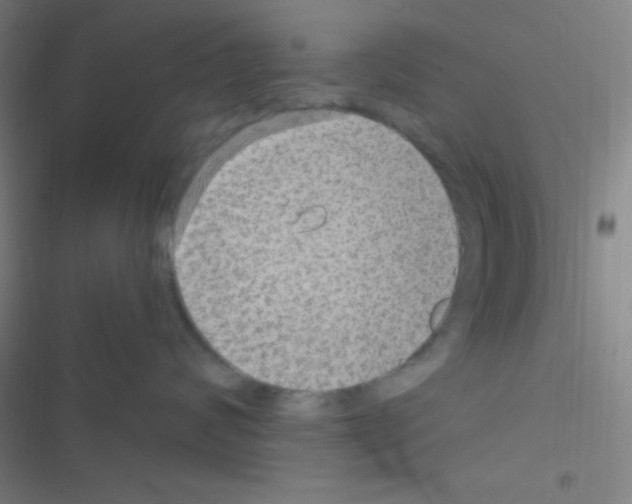 X0000116590624201001211327