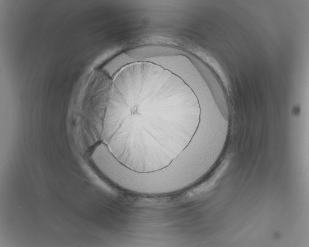 X0000116590625201001211326