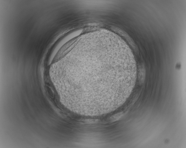 X0000116590626201001211326