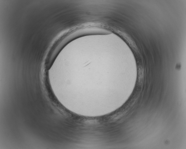 X0000116590628201001211327