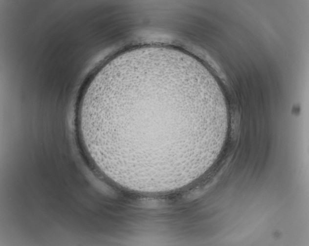 X0000116590629201001211327