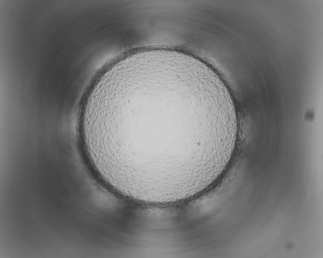 X0000116590632201001211327