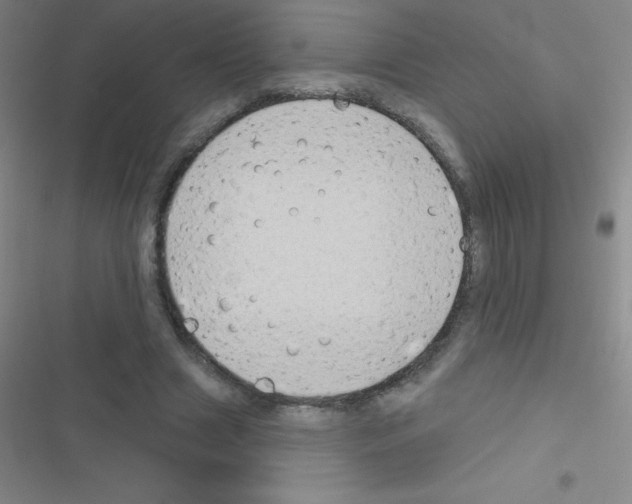 X0000116590633201001211327