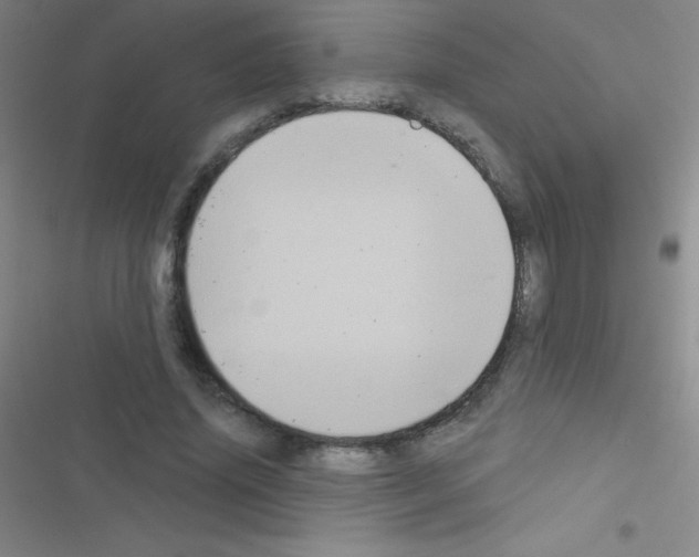 X0000116590636201001211327