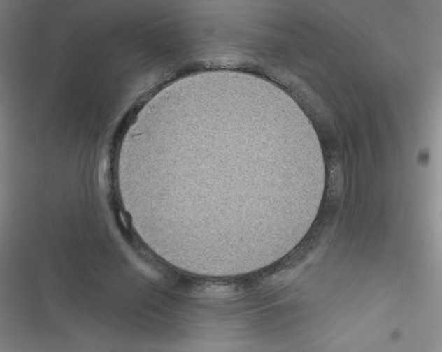 X0000116590638201001211327