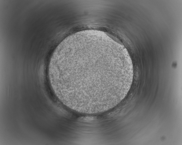 X0000116590639201001211327