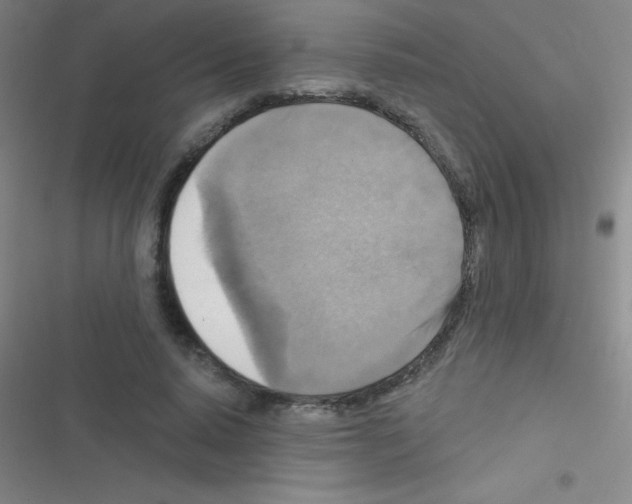 X0000116590640201001211327