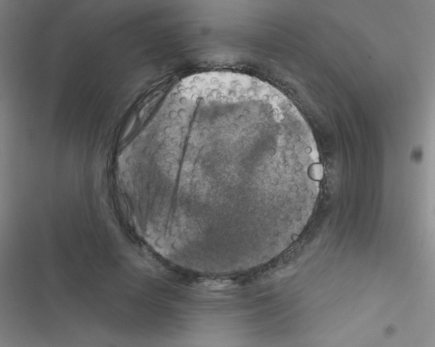 X0000116590642201001211327