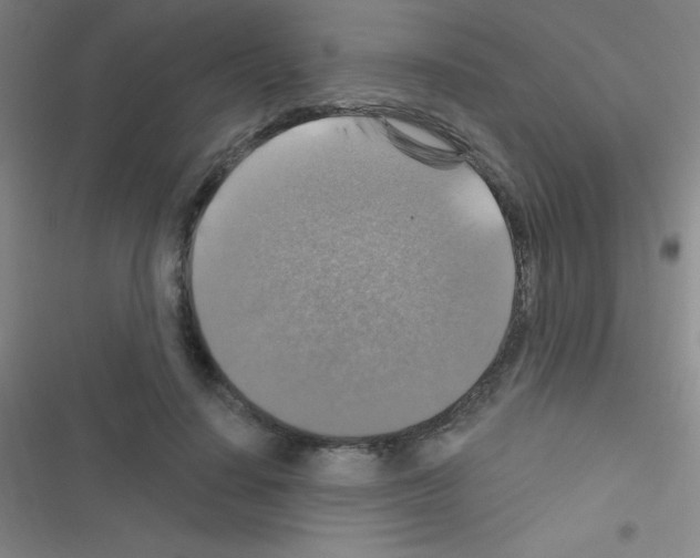 X0000116590644201001211327