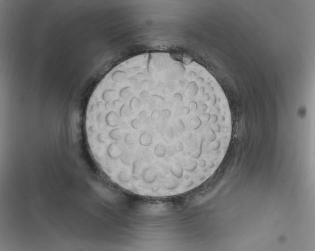 X0000116590646201001211327