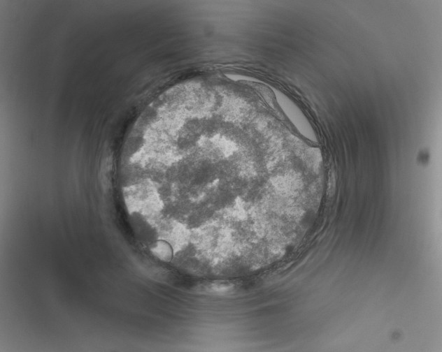 X0000116590647201001211327