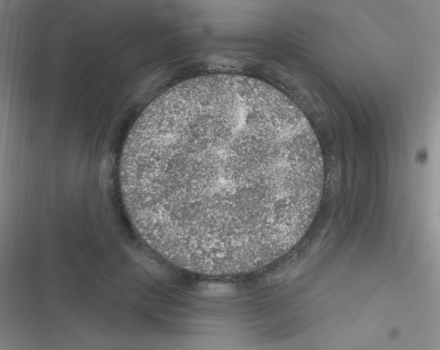 X0000116590649201001211327