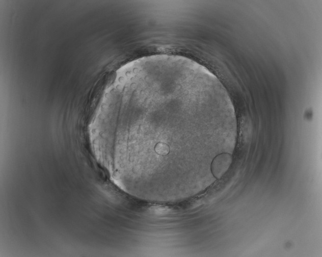 X0000116590650201001211327