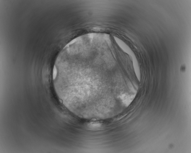 X0000116590651201001211327