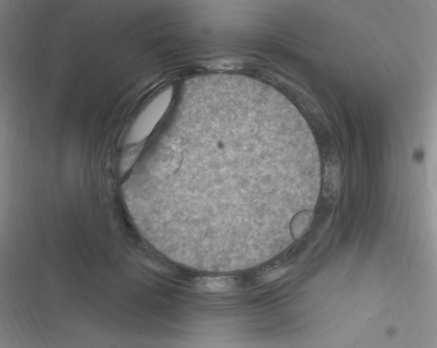 X0000116590652201001211327