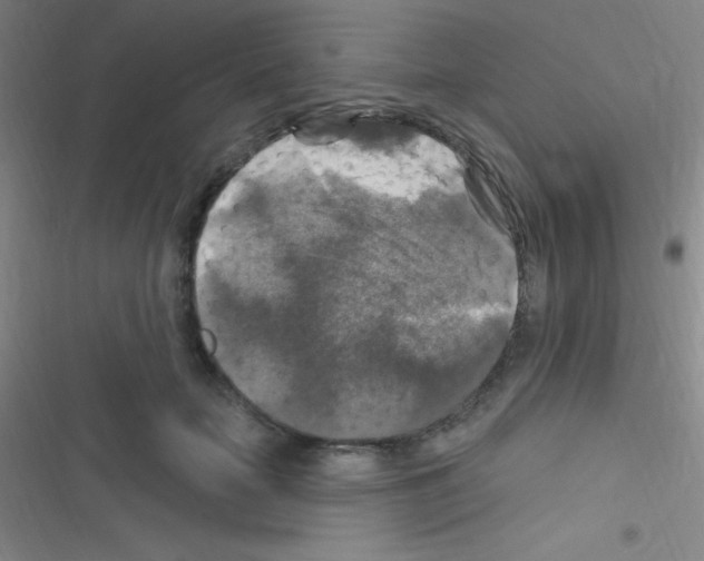 X0000116590653201001211327