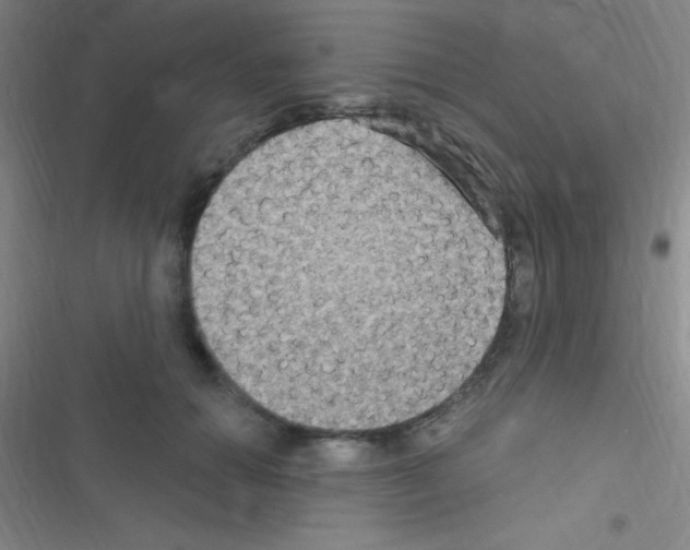 X0000116590654201001211327