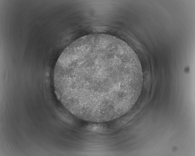 X0000116590655201001211327