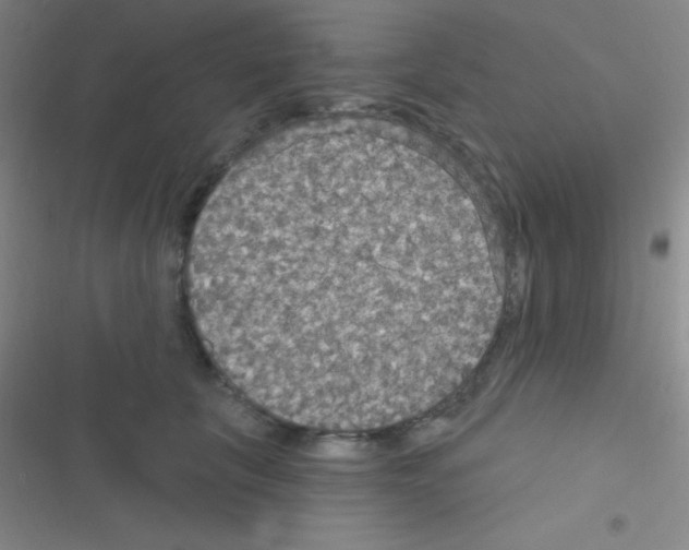 X0000116590657201001211327