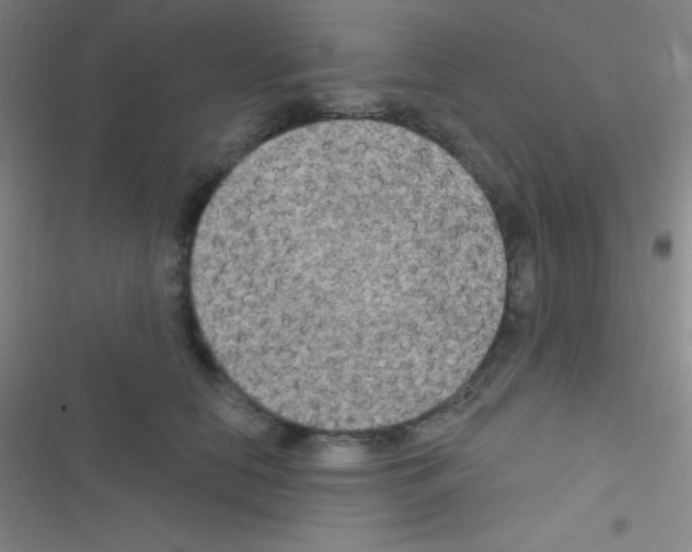 X0000116590658201001211327