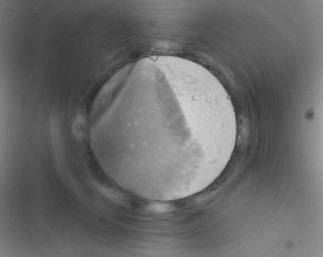 X0000116590659201001211327