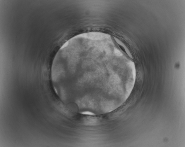 X0000116590661201001211327