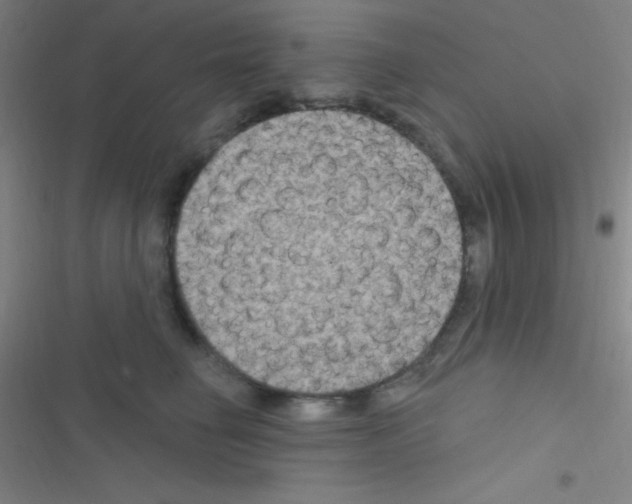 X0000116590662201001211327