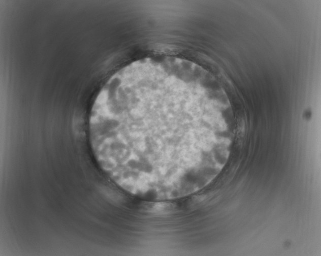 X0000116590663201001211327