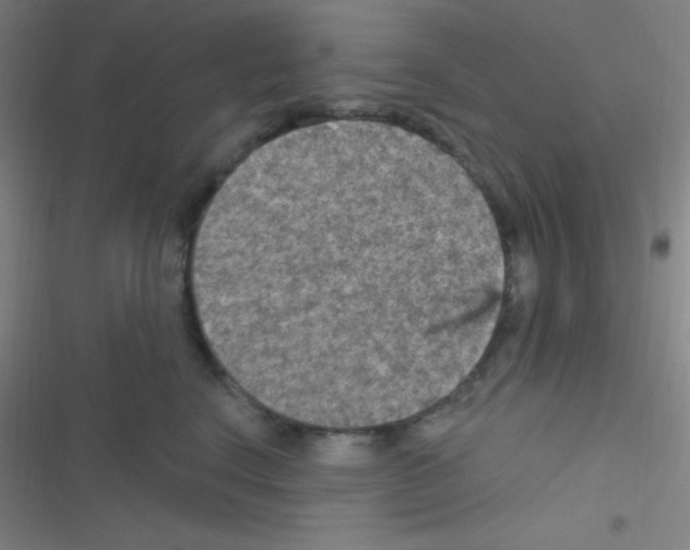 X0000116590664201001211327