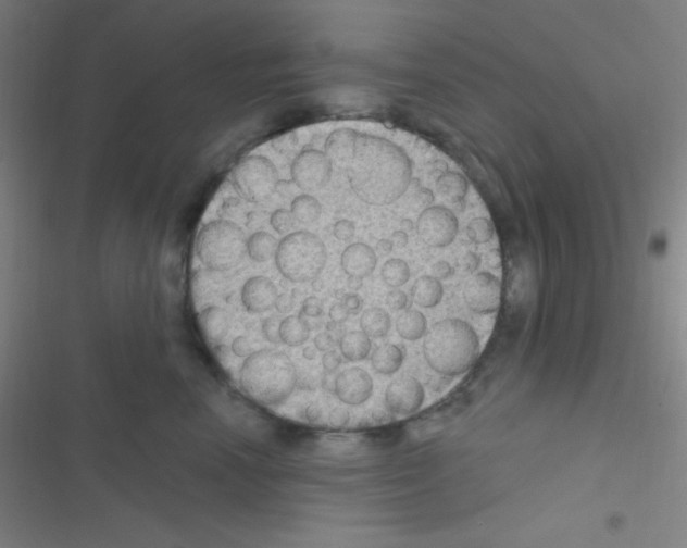 X0000116590666201001211327