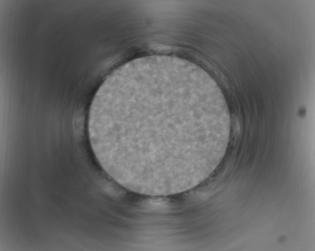 X0000116590668201001211327