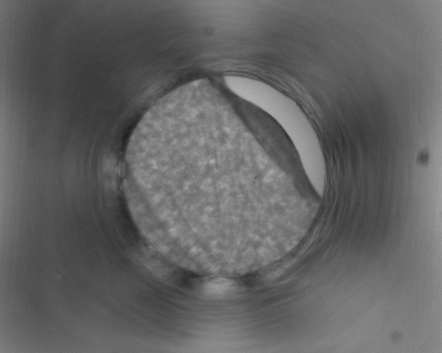 X0000116590669201001211327