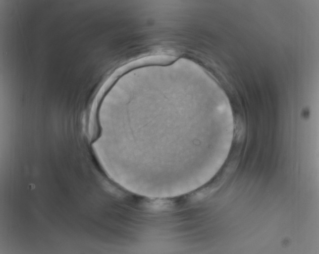 X0000116590670201001211327