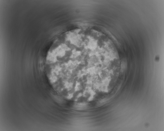 X0000116590671201001211327