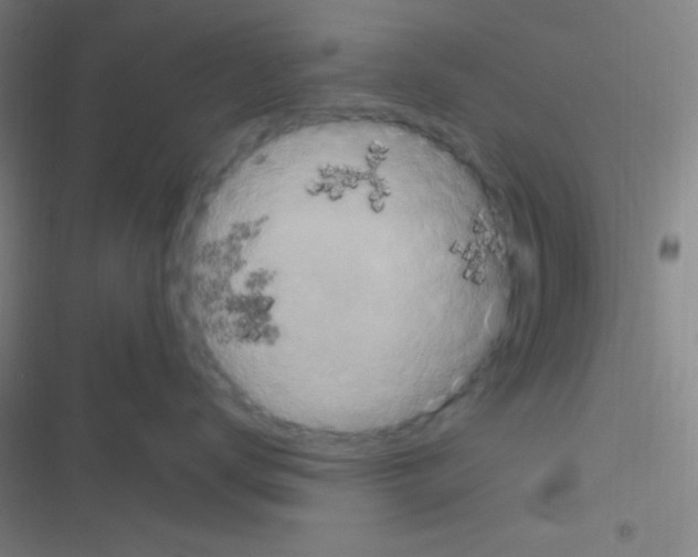 X0000116590672201001211327