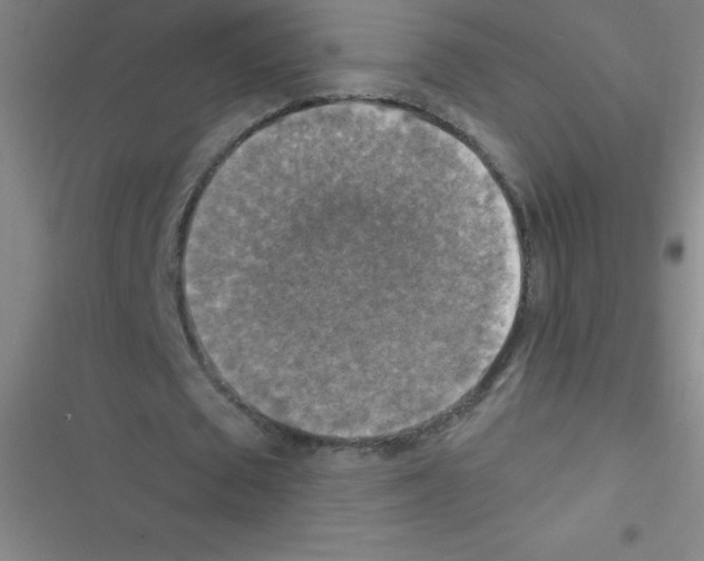 X0000116590673201001211326