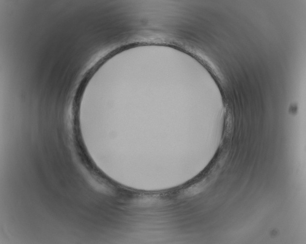 X0000116590674201001211326