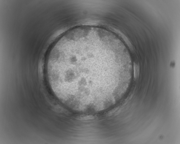 X0000116590675201001211326