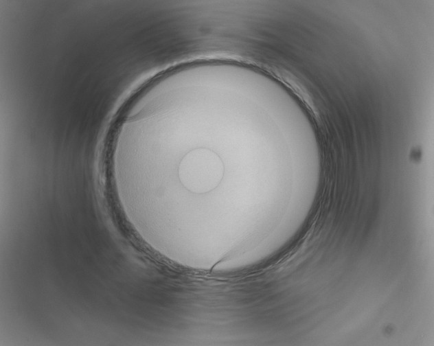 X0000116590676201001211326