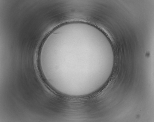 X0000116590677201001211326