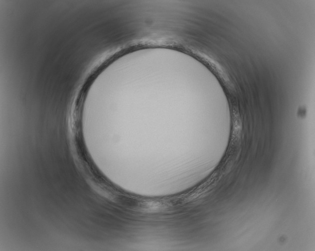 X0000116590678201001211326