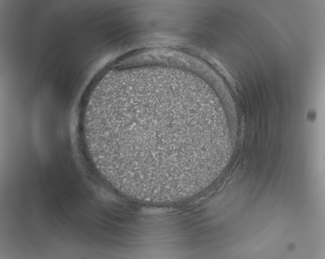 X0000116590679201001211326