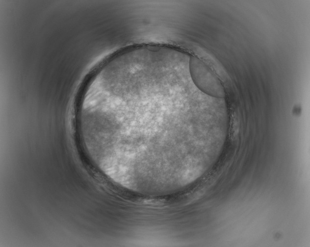 X0000116590680201001211326