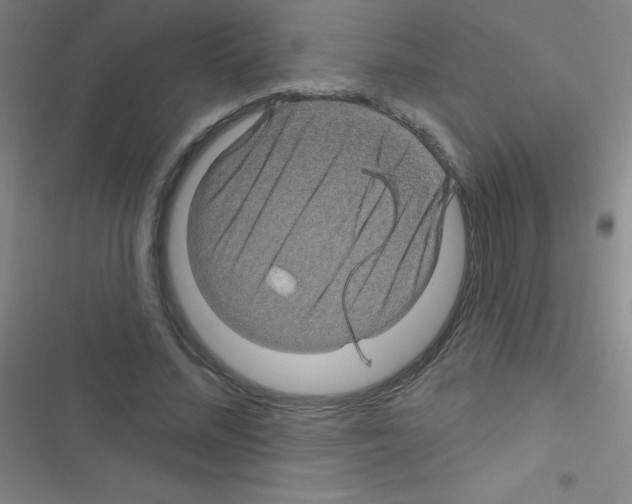 X0000116590684201001211326