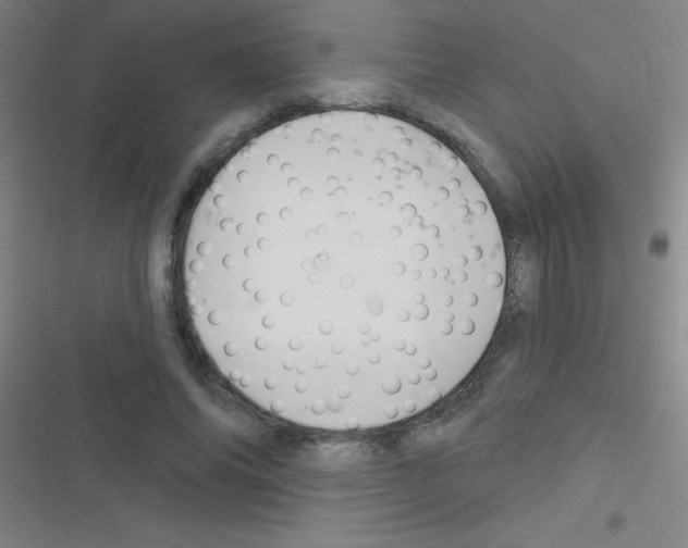 X0000116590686201001211326